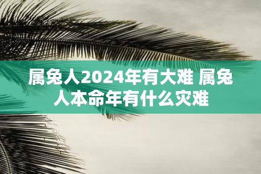 属兔人2025年有大难 属兔人本命年有什么灾难