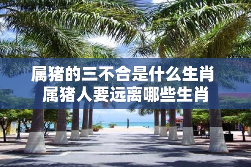 属猪的三不合是什么生肖 属猪人要远离哪些生肖