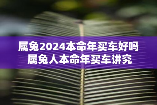 属兔2025本命年买车好吗 属兔人本命年买车讲究
