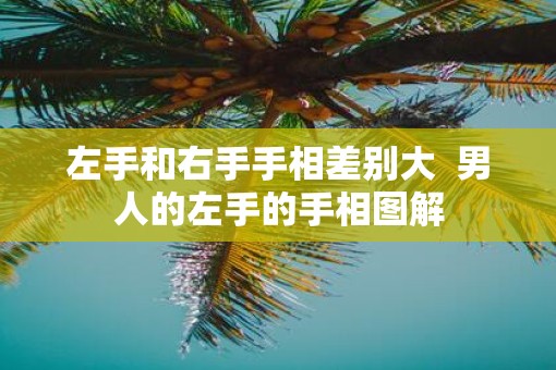 左手和右手手相差别大  男人的左手的手相图解