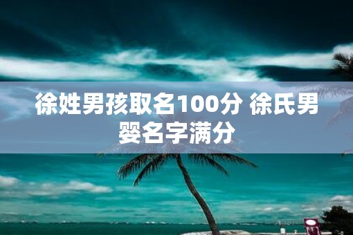 徐姓男孩取名100分 徐氏男婴名字满分