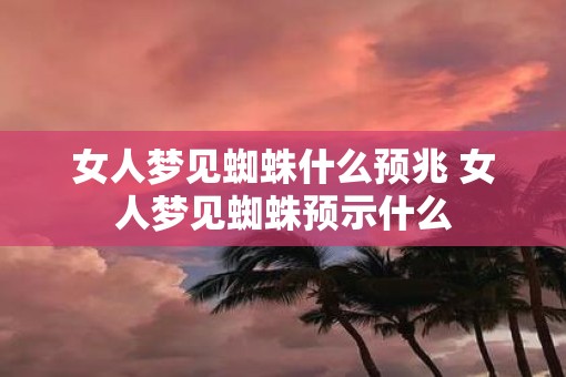 女人梦见蜘蛛什么预兆 女人梦见蜘蛛预示什么