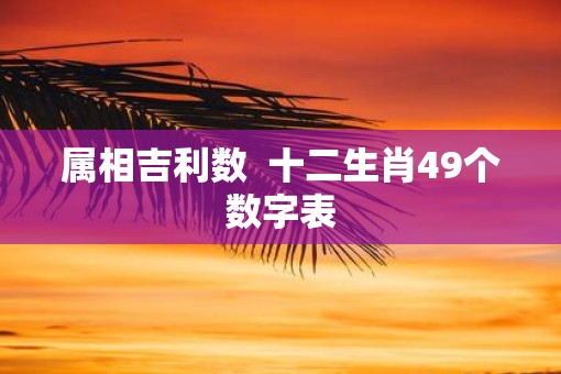 属相吉利数  十二生肖49个数字表