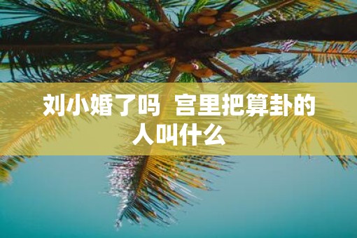 刘小婚了吗  宫里把算卦的人叫什么
