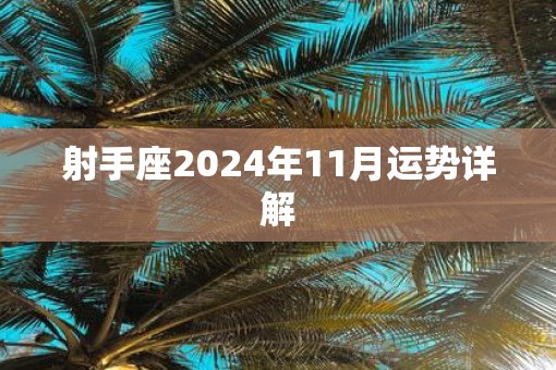 射手座2025年11月运势详解