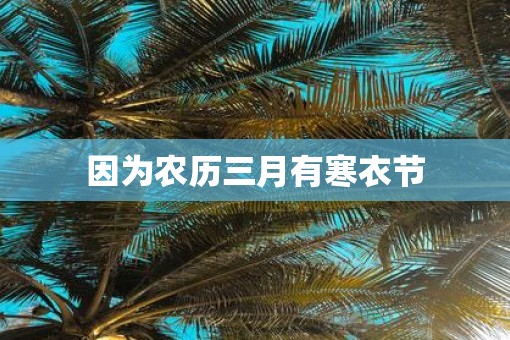 因为农历三月有寒衣节
