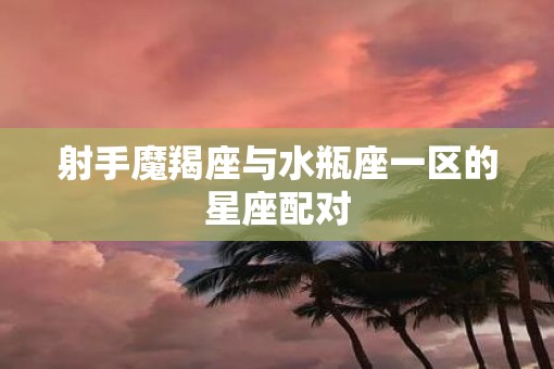 射手魔羯座与水瓶座一区的星座配对