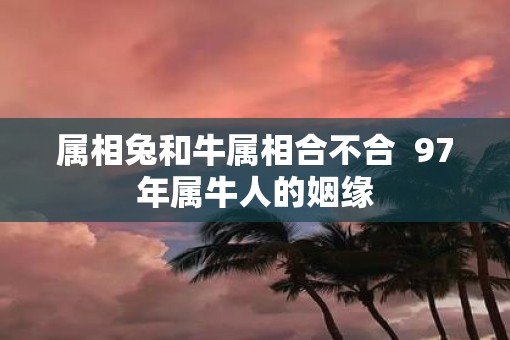 属相兔和牛属相合不合  97年属牛人的姻缘