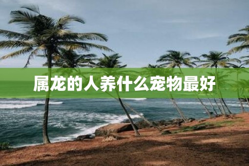 属龙的人养什么宠物最好