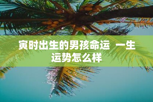 寅时出生的男孩命运  一生运势怎么样