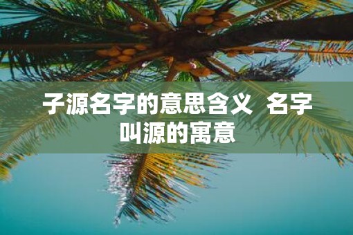 子源名字的意思含义  名字叫源的寓意