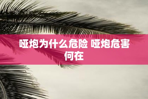 哑炮为什么危险 哑炮危害何在