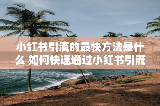 小红书引流的最快方法是什么 如何快速通过小红书引流