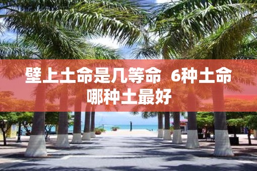 壁上土命是几等命  6种土命哪种土最好