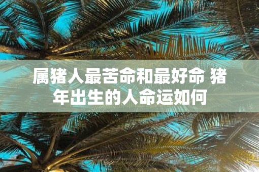 属猪人最苦命和最好命 猪年出生的人命运如何