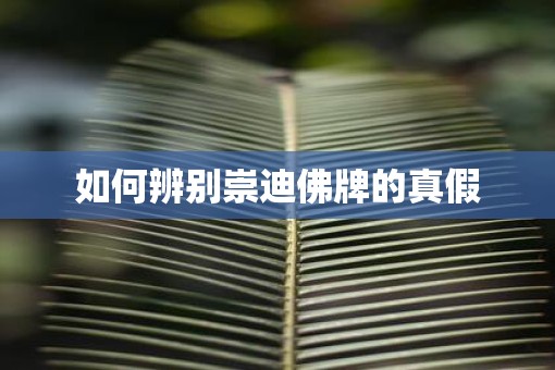 如何辨别崇迪佛牌的真假