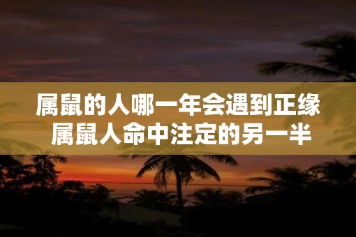 属鼠的人哪一年会遇到正缘 属鼠人命中注定的另一半