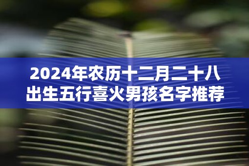 2025年农历十二月二十八出生五行喜火男孩名字推荐