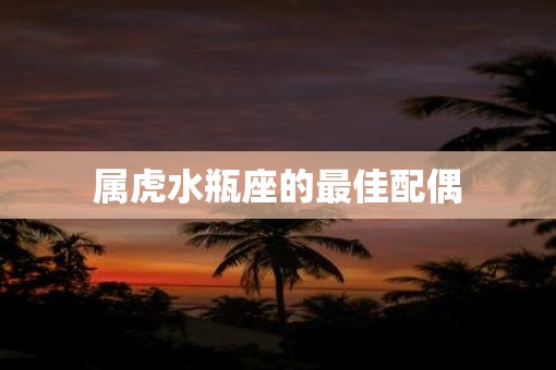 属虎水瓶座的最佳配偶