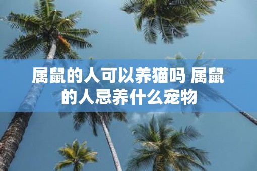 属鼠的人可以养猫吗 属鼠的人忌养什么宠物