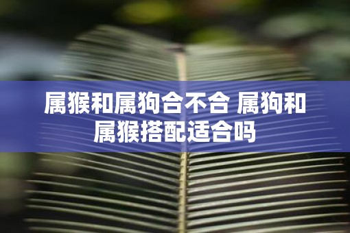 属猴和属狗合不合 属狗和属猴搭配适合吗