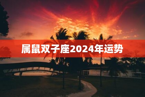 属鼠双子座2025年运势