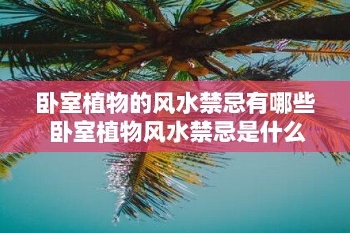 卧室植物的风水禁忌有哪些 卧室植物风水禁忌是什么