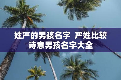姓严的男孩名字  严姓比较诗意男孩名字大全