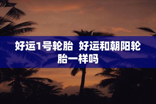 好运1号轮胎  好运和朝阳轮胎一样吗