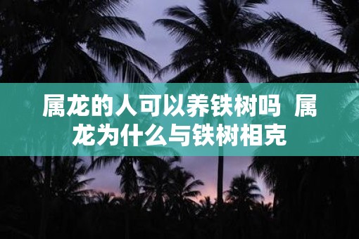 属龙的人可以养铁树吗  属龙为什么与铁树相克