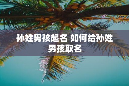 孙姓男孩起名 如何给孙姓男孩取名