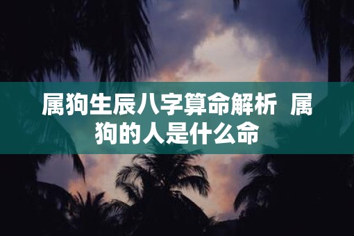 属狗生辰八字算命解析  属狗的人是什么命