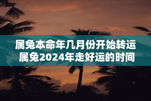 属兔本命年几月份开始转运 属兔2025年走好运的时间