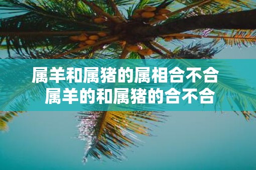 属羊和属猪的属相合不合  属羊的和属猪的合不合