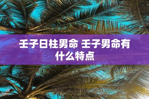 壬子日柱男命 壬子男命有什么特点