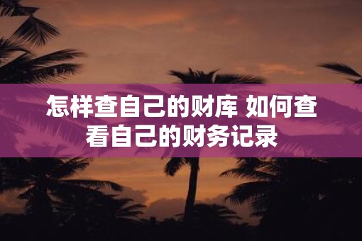 怎样查自己的财库 如何查看自己的财务记录