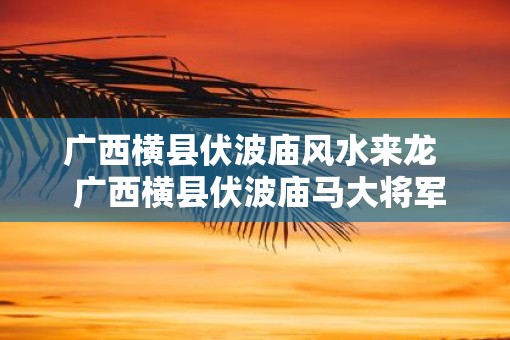 广西横县伏波庙风水来龙  广西横县伏波庙马大将军签语
