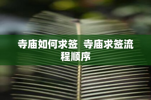 寺庙如何求签  寺庙求签流程顺序
