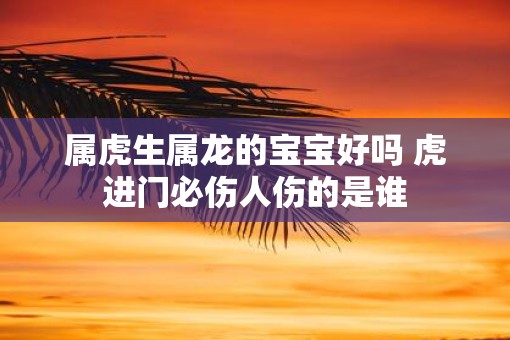 属虎生属龙的宝宝好吗 虎进门必伤人伤的是谁