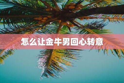 怎么让金牛男回心转意