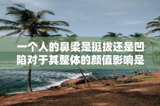 一个人的鼻梁是挺拔还是凹陷对于其整体的颜值影响是很大的
