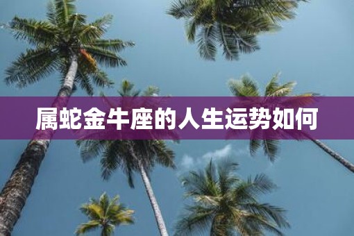 属蛇金牛座的人生运势如何