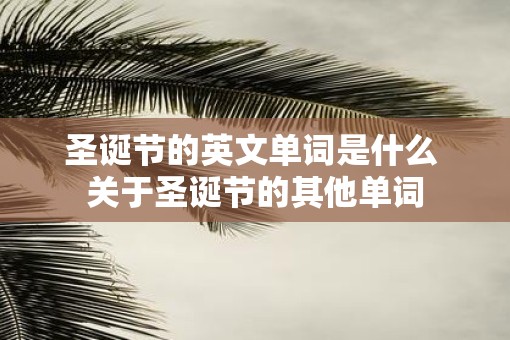 圣诞节的英文单词是什么 关于圣诞节的其他单词