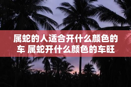 属蛇的人适合开什么颜色的车 属蛇开什么颜色的车旺运气