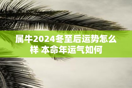 属牛2025冬至后运势怎么样 本命年运气如何