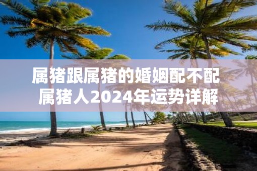属猪跟属猪的婚姻配不配 属猪人2025年运势详解