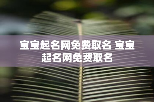 宝宝起名网免费取名 宝宝起名网免费取名