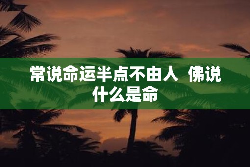 常说命运半点不由人  佛说什么是命
