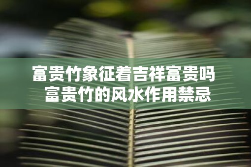 富贵竹象征着吉祥富贵吗  富贵竹的风水作用禁忌