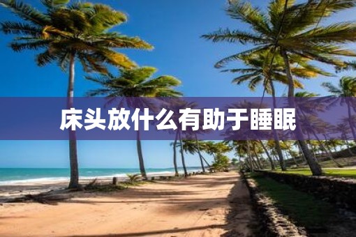 床头放什么有助于睡眠